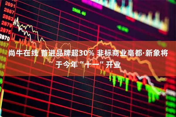 尚牛在线 首进品牌超30% 非标商业亳都·新象将于今年“十一”开业