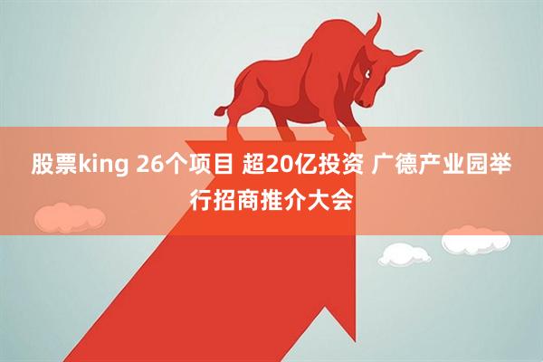 股票king 26个项目 超20亿投资 广德产业园举行招商推介大会