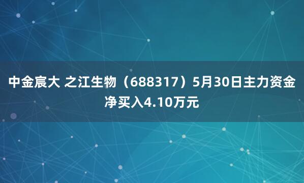 中金宸大 之江生物（688317）5月30日主力资金净买入4.10万元
