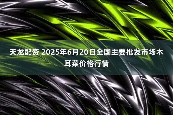 天龙配资 2025年6月20日全国主要批发市场木耳菜价格行情