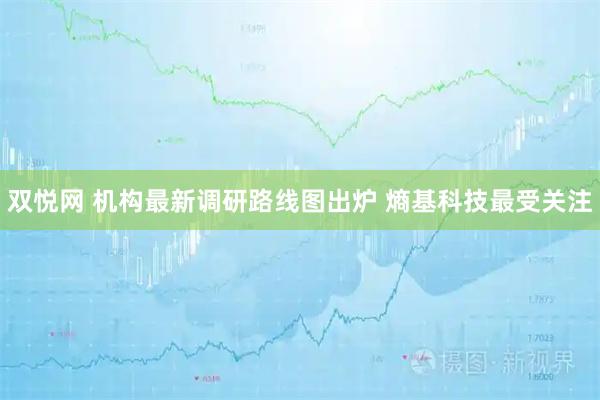 双悦网 机构最新调研路线图出炉 熵基科技最受关注