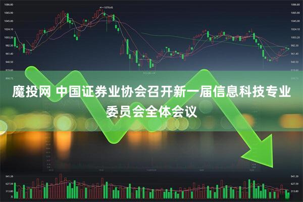 魔投网 中国证券业协会召开新一届信息科技专业委员会全体会议