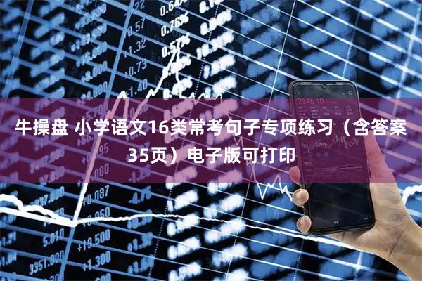 牛操盘 小学语文16类常考句子专项练习（含答案35页）电子版可打印